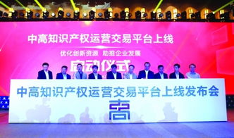 兩翼齊飛 為知識(shí)產(chǎn)權(quán)服務(wù)保駕護(hù)航的商標(biāo)代理