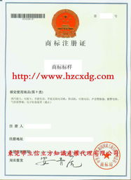 商標(biāo)注冊(cè)與商標(biāo)代理 法律與公證的全面指南